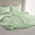 Povlečení bavlněný satén Light green 480